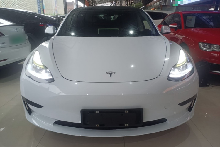 Tesla Model 3 2021 #3 Tesla Model 3 2021 car image #3