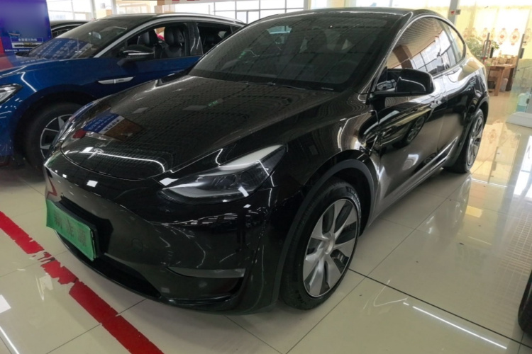 Tesla Model Y 2021 #2 Tesla Model Y 2021 car image #2