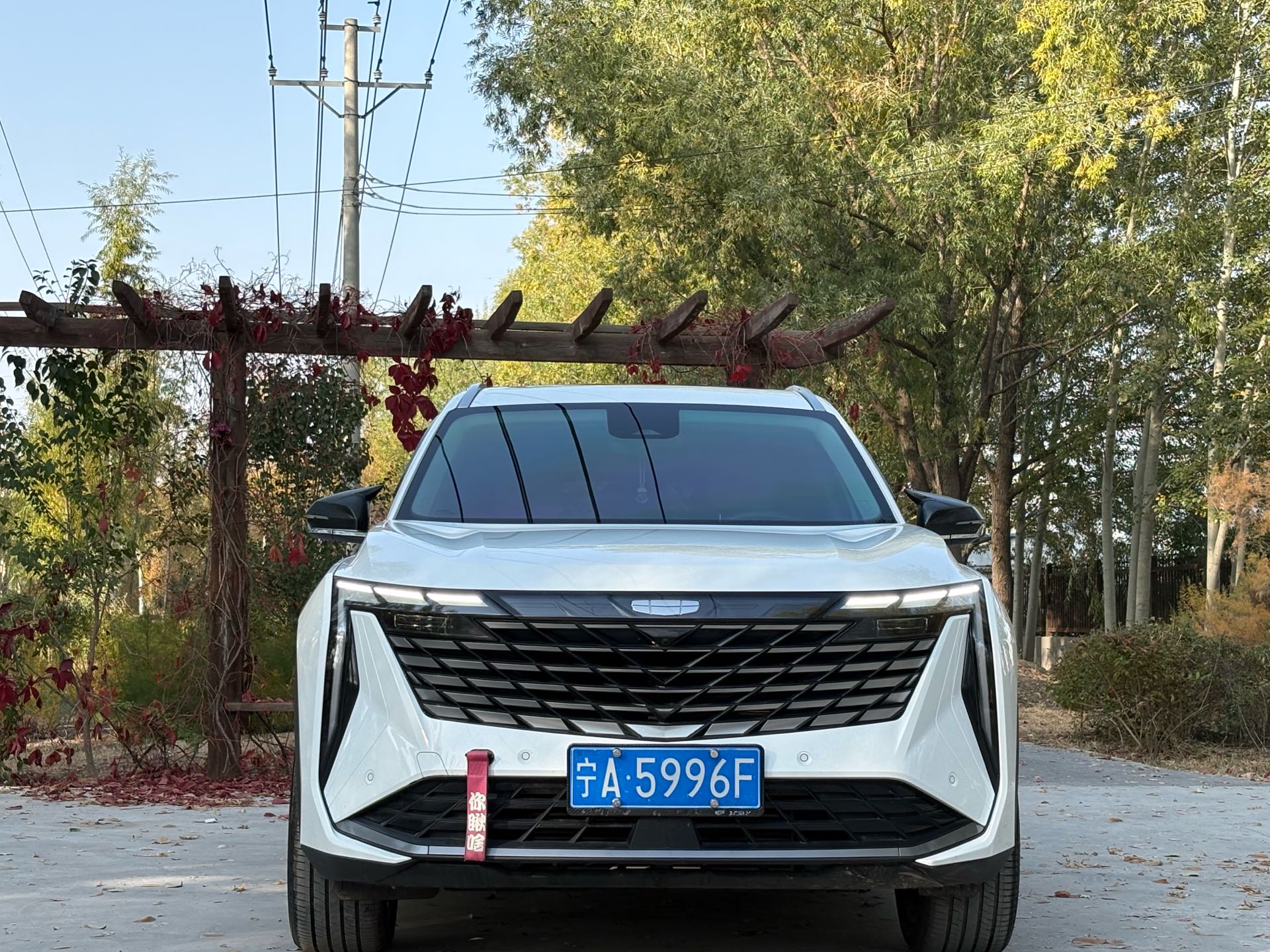 GEELY Boyue L 2024 #4 GEELY Boyue L 2024 car image #4