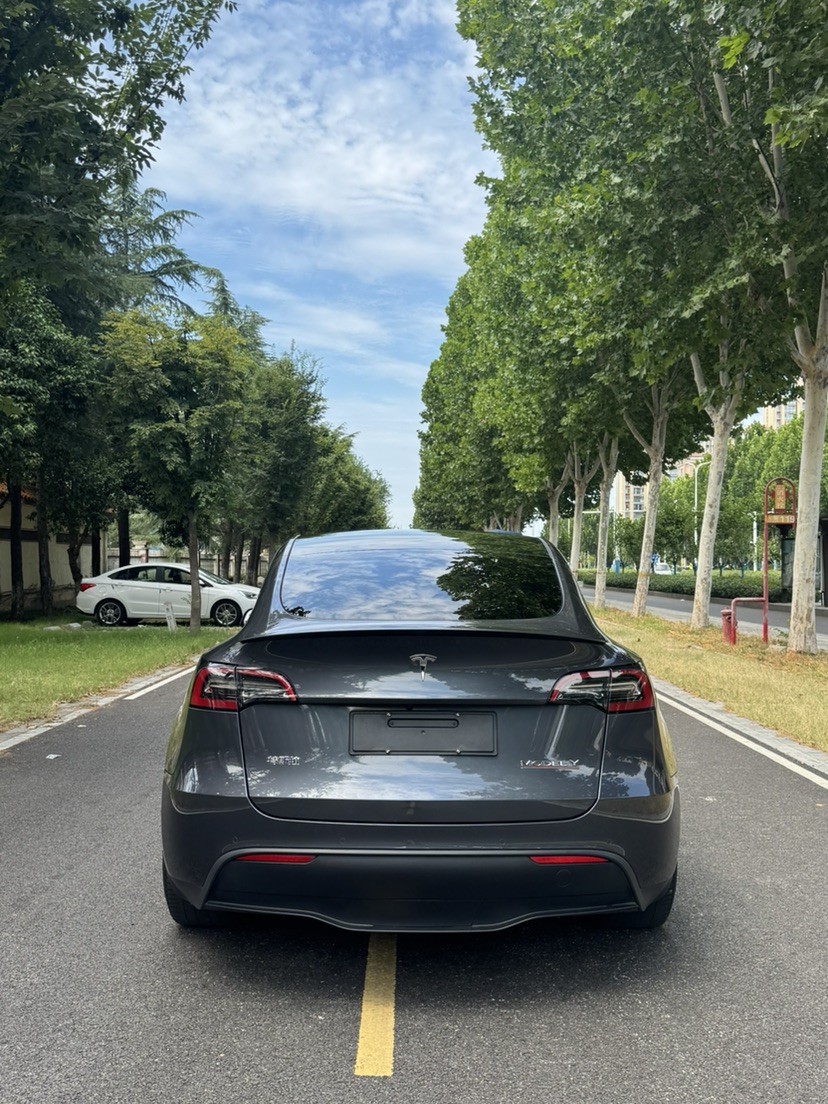 Tesla Model Y 2023 car image #8