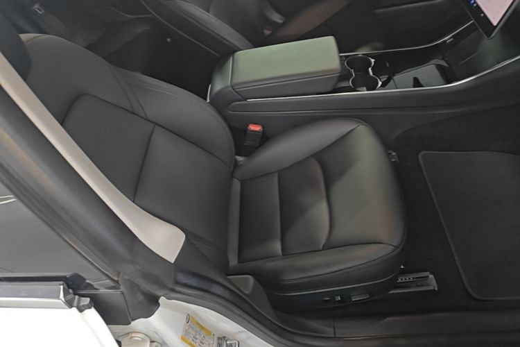 Tesla Model 3 2020 car image #24