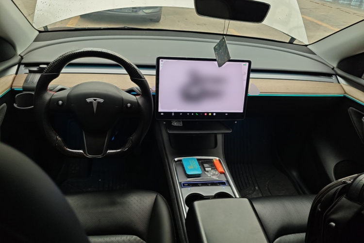 Tesla Model Y 2022 car image #10