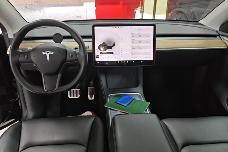Tesla Model Y 2021 car image #10