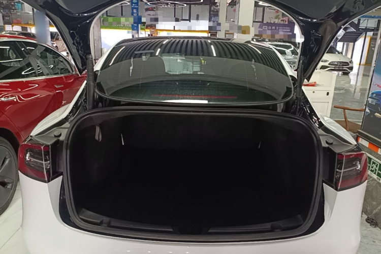 Tesla Model 3 2021 car image #19