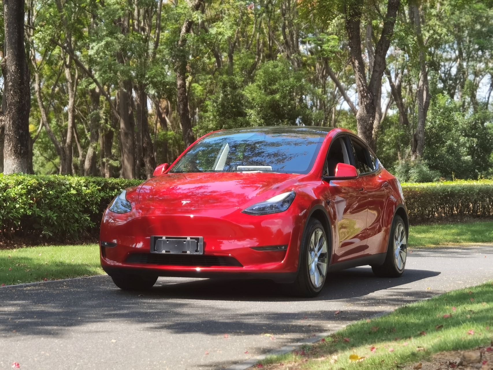 Tesla Model Y 2021 Tesla Model Y 2021 car image