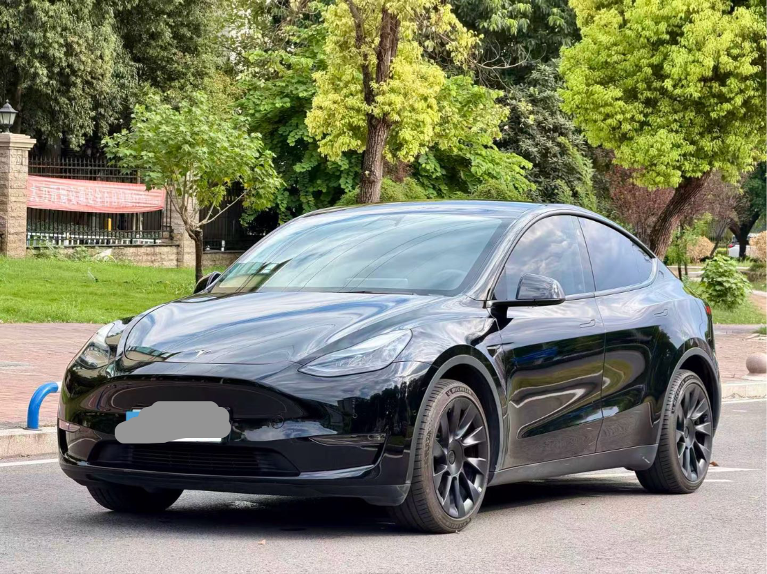 Tesla Model Y 2023 car image #2