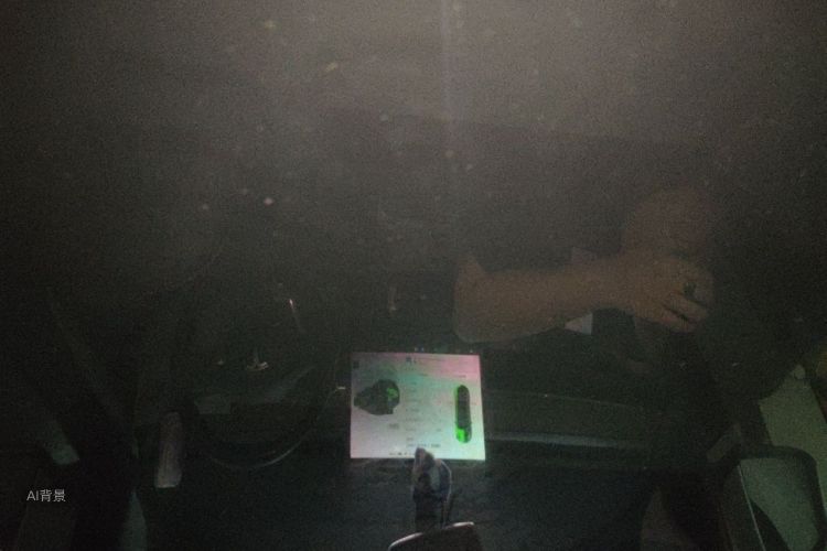 Tesla Model Y 2023 car image #20