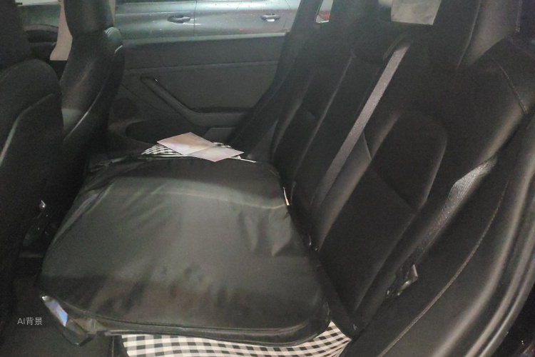Tesla Model 3 2021 car image #19
