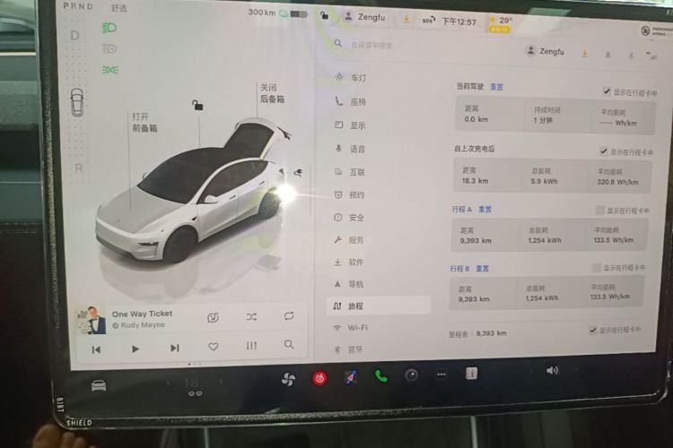 Tesla Model Y 2025 car image #12
