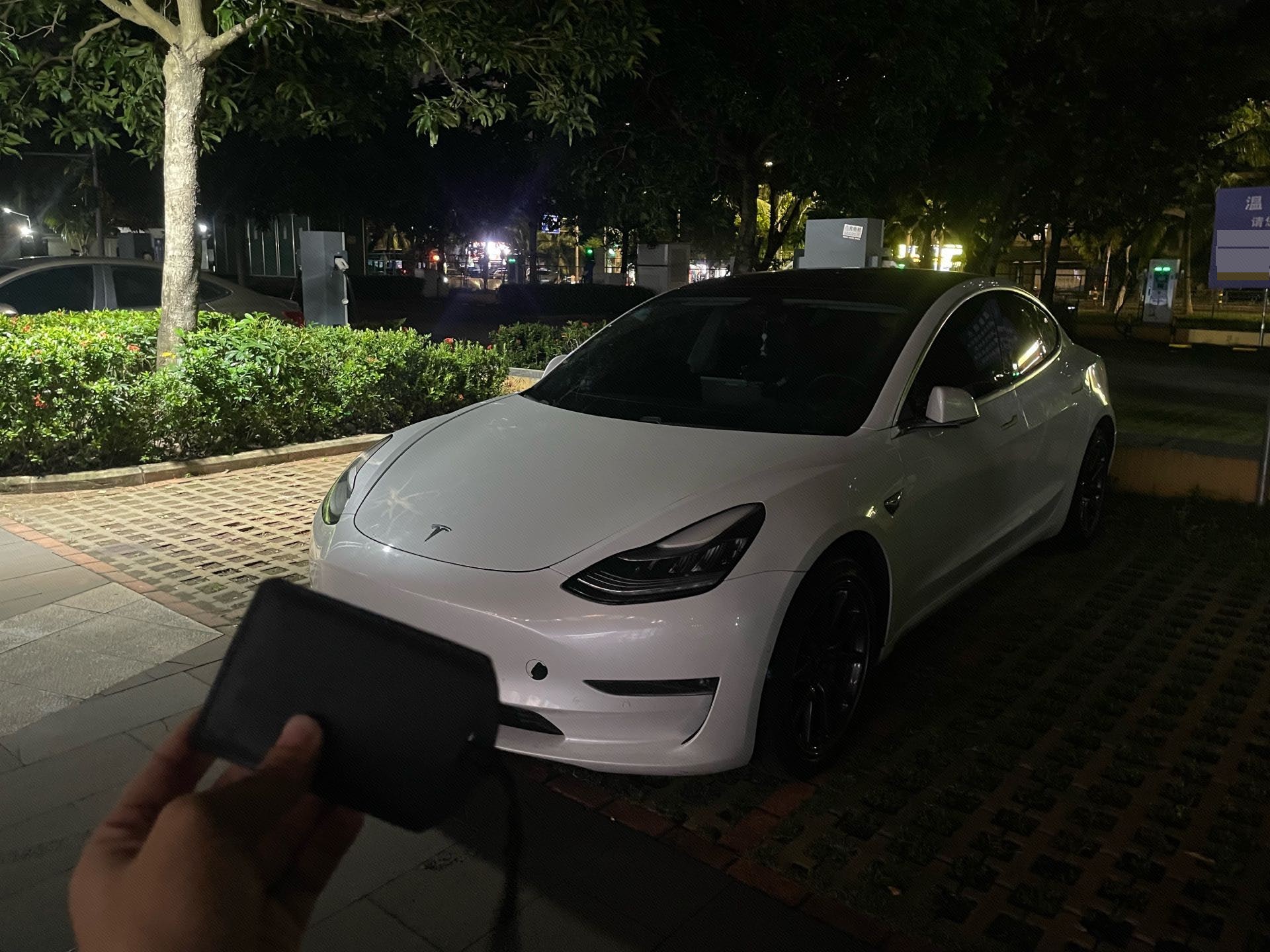 Tesla Model 3 (Imported) 2020 car image 