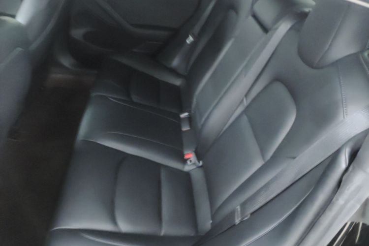 Tesla Model 3 2021 immagine di auto #13