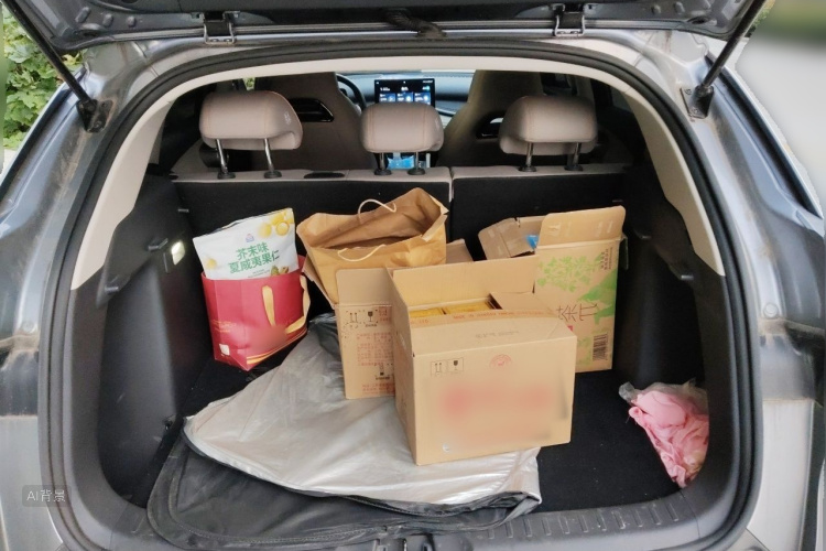 BYD Yuan Plus 2023 imagen de coche #21