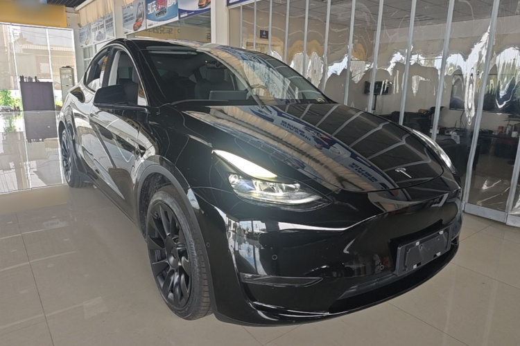 Tesla Model Y 2021 #4 Tesla Model Y 2021 car image #4