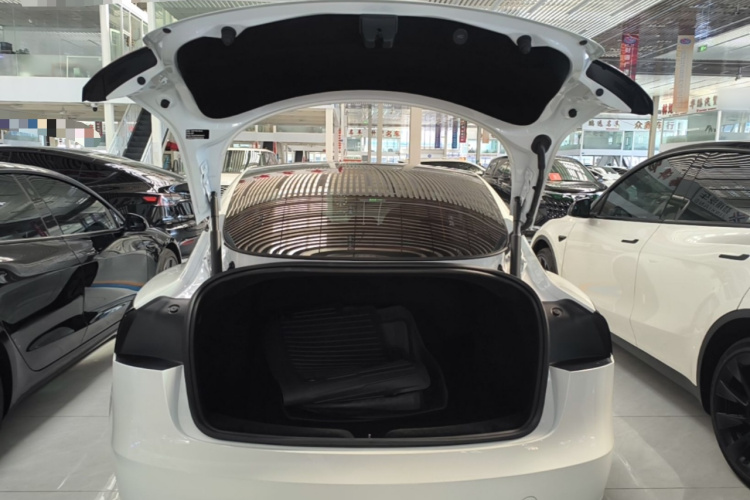 Tesla Model 3 2025 car image #21