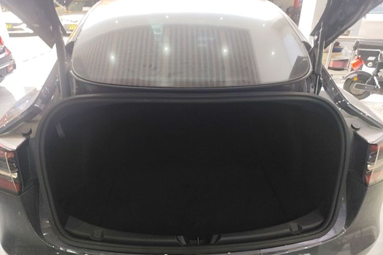 Tesla Model 3 2021 #19 Tesla Model 3 2021 car image #19