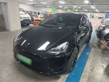 Tesla Model Y 2022 Tesla Model Y 2022 car image
