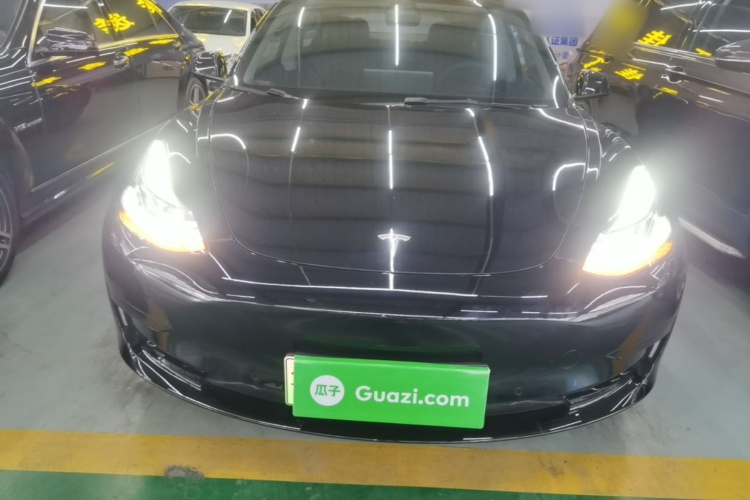 Tesla Model 3 2021 #3 Tesla Model 3 2021 car image #3