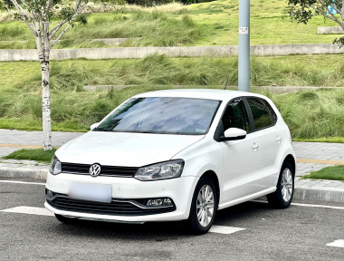Volkswagen Polo 2015 car image 
