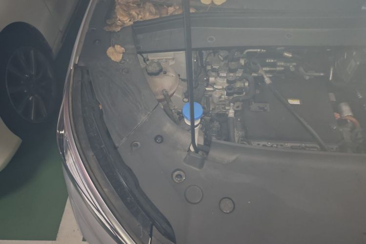 BYD Yuan Plus 2023 car image #24