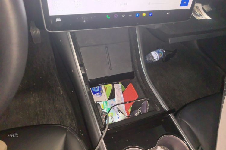 Tesla Model 3 2020 car image #16