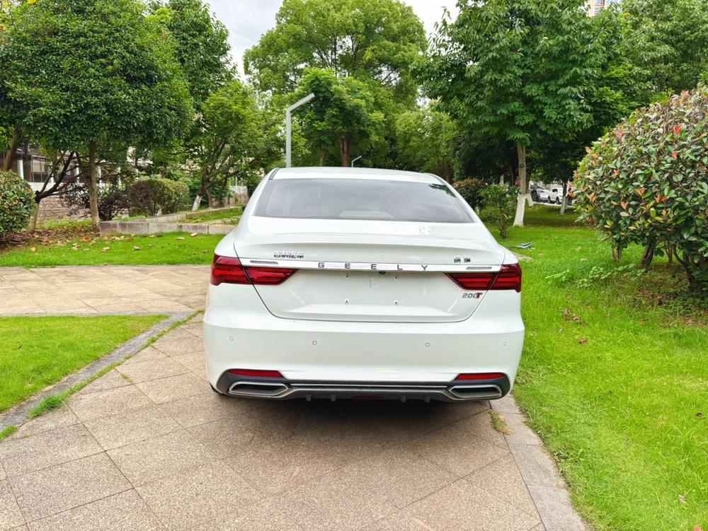 GEELY Binray 2020 #6 GEELY Binray 2020 immagine di auto #6