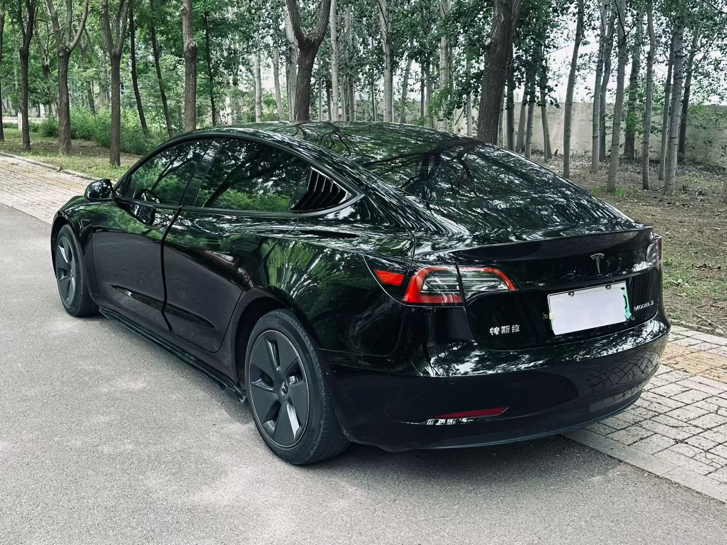 Tesla Model 3 2023 #6 Tesla Model 3 2023 car image #6