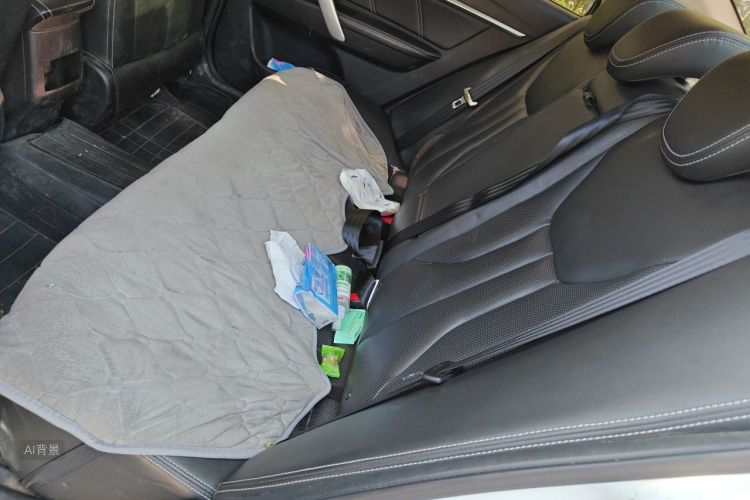 GEELY Emgrand 2017 car image #19