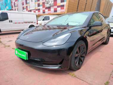 Tesla Model 3 2022 car image 