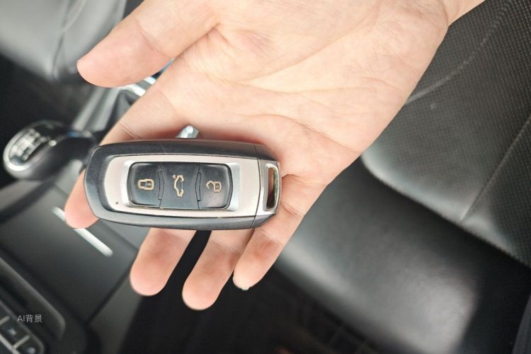 GEELY Emgrand 2016 car image #10