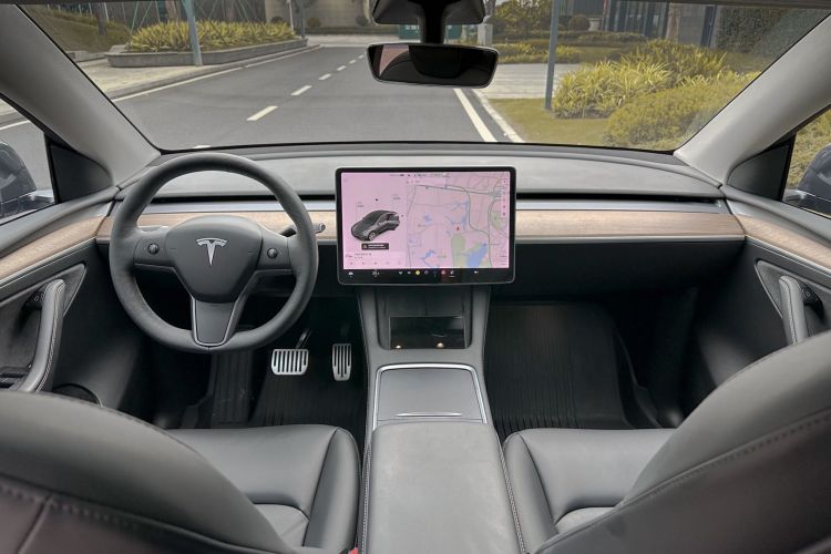 Tesla Model Y 2021 car image #10