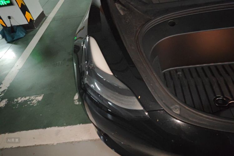 Tesla Model 3 2021 car image #8