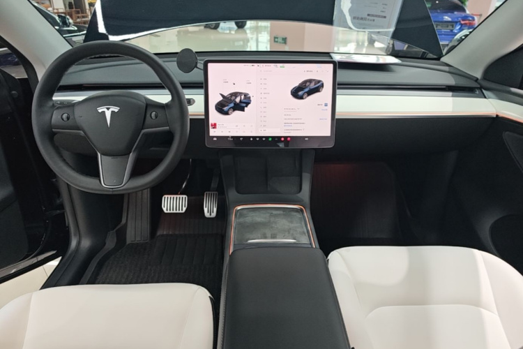 Tesla Model Y 2021 car image #10