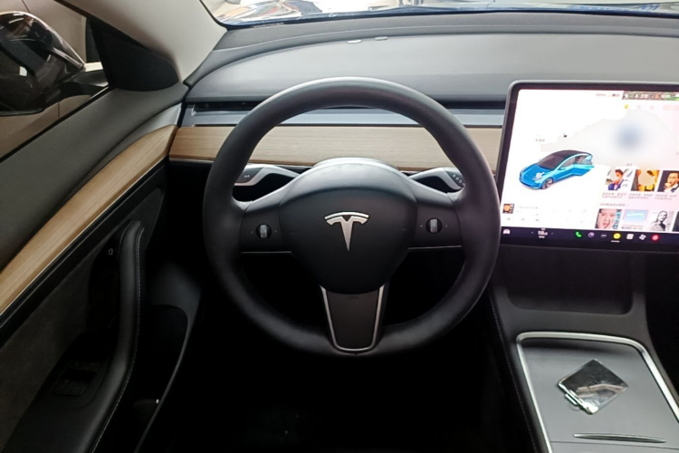 Tesla Model 3 2021 car image #11