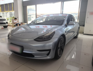 Tesla Model 3 2021 Tesla Model 3 2021 car image