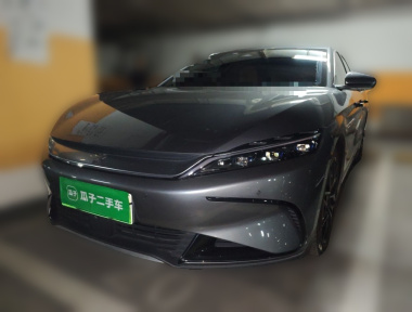 BYD Han 2022 immagine di auto 