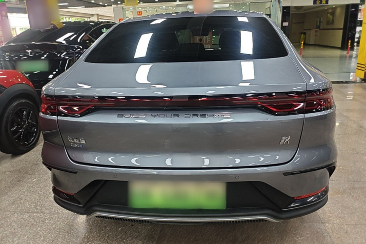 BYD Han 2022 #6 BYD Han 2022 immagine di auto #6