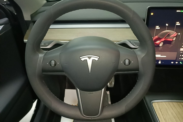 Tesla Model Y 2023 car image #15