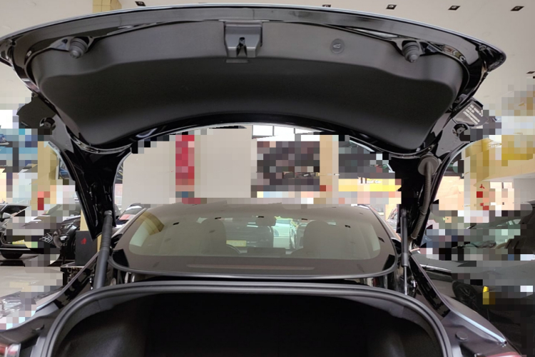 Tesla Model 3 2021 car image #19
