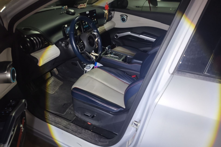 BYD Yuan Plus 2022 car image #15