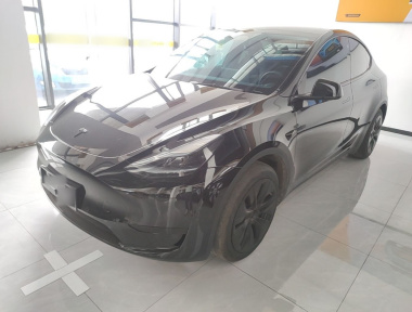 Tesla Model Y 2023 Tesla Model Y 2023 car image