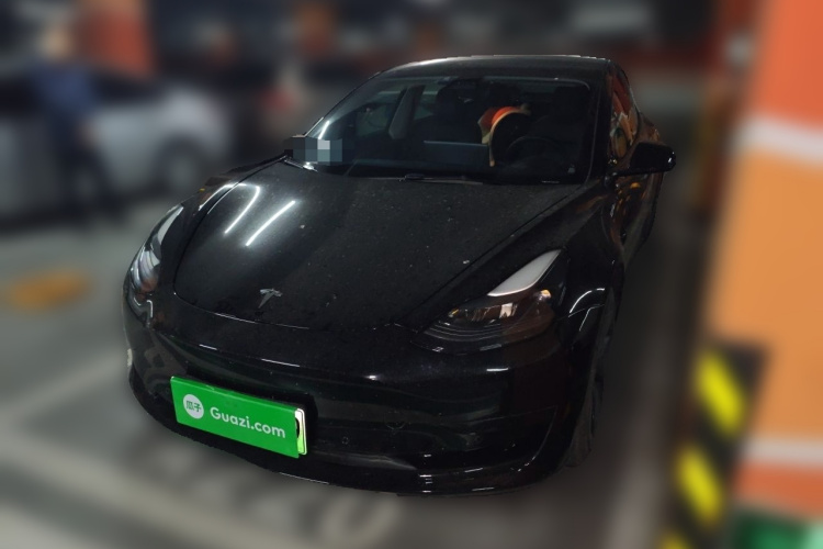 Tesla Model 3 2021 #2 Tesla Model 3 2021 car image #2