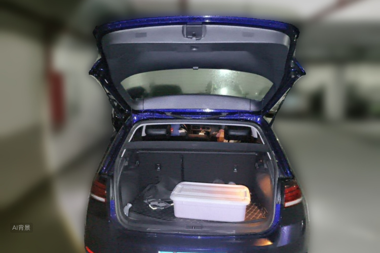Volkswagen Golf 2020 car image #21