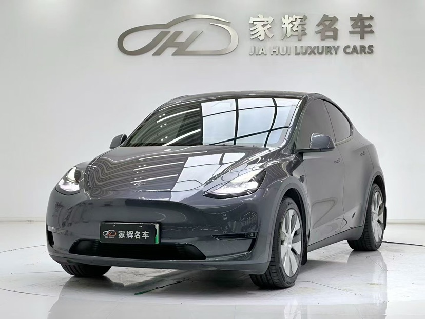 Tesla Model Y 2021 immagine di auto 