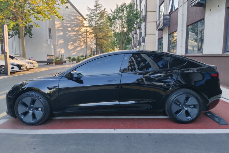 Tesla Model 3 2021 car image #7