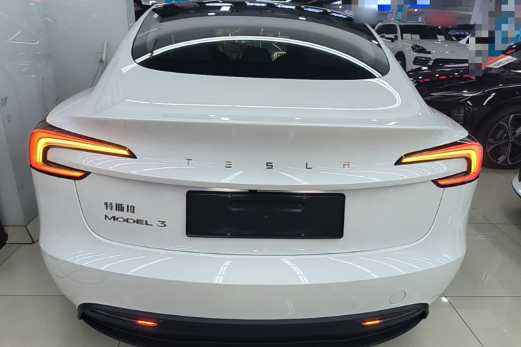 Tesla Model 3 2024 immagine di auto #6