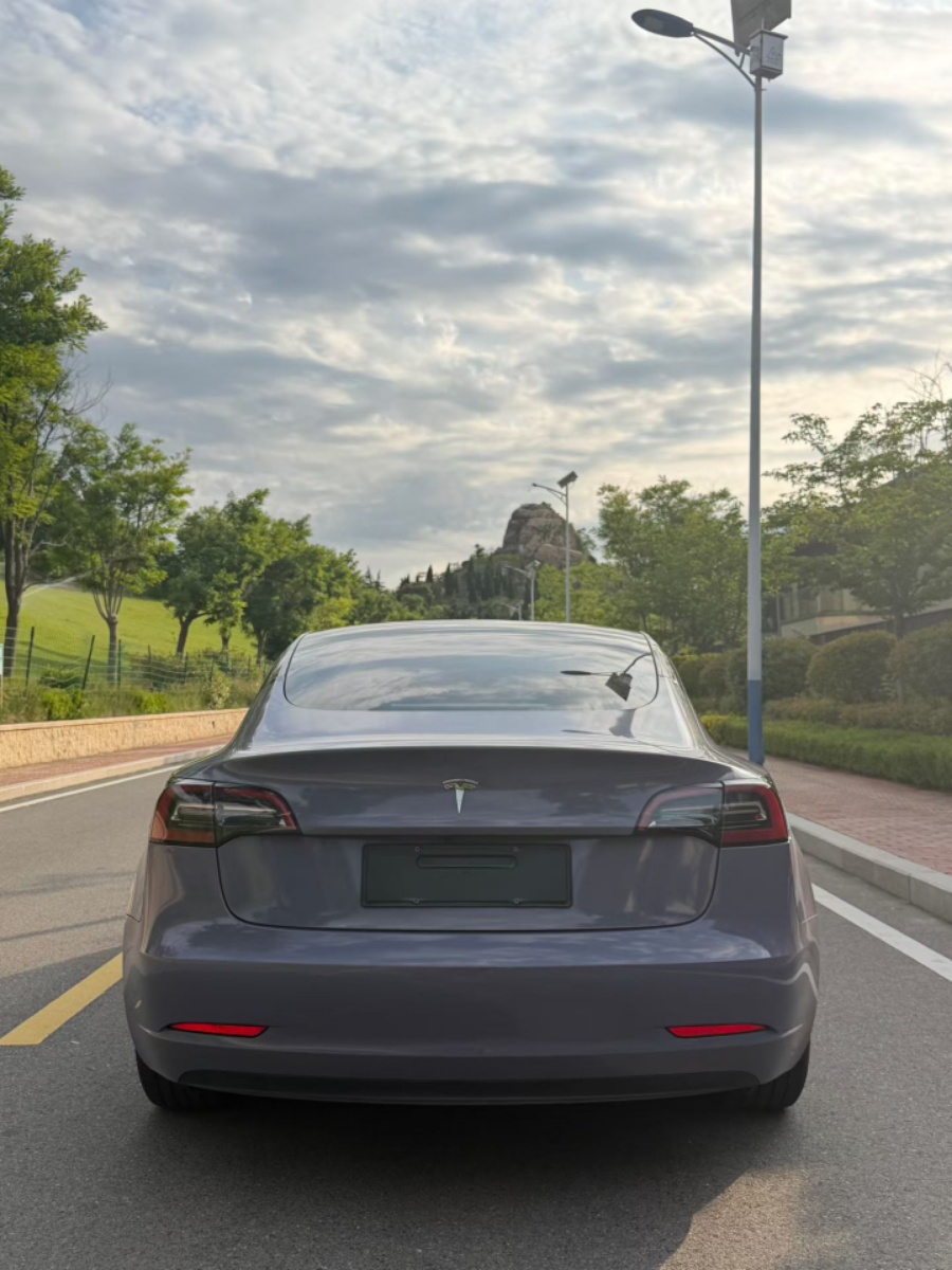 Tesla Model 3 2021 immagine di auto #8