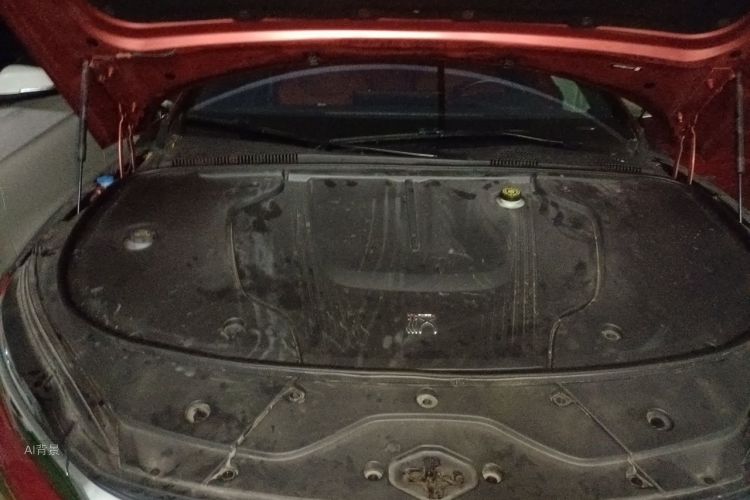 BYD Han 2021 car image #22