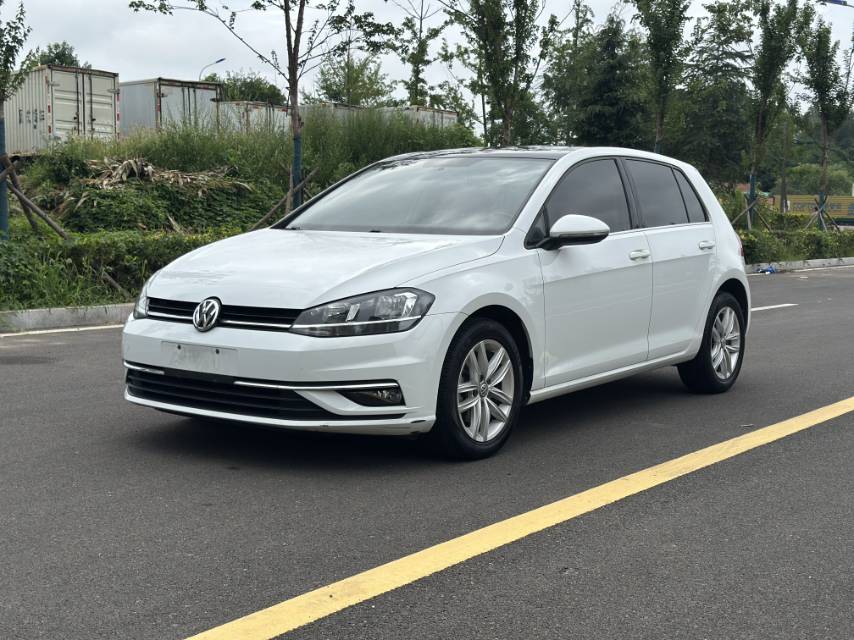 Volkswagen Golf 2019 Volkswagen Golf 2019 car image