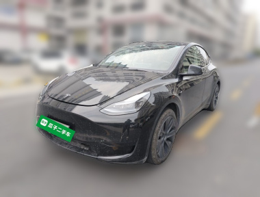 Tesla Model Y 2023 Tesla Model Y 2023 car image