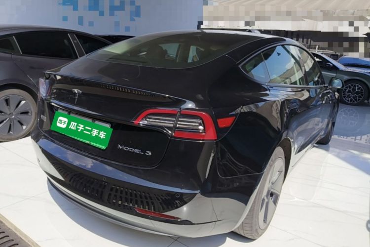 Tesla Model 3 2021 car image #7